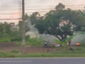 dijual-tanah-shm-luas-3000m2-lokasi-strategis-di-jenu-tuban-small-0