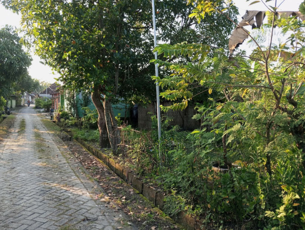 dijual-tanah-shm-siap-bangun-banjarejo-sumberrejo-bojonegoro-big-1