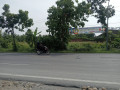 dijual-tanah-nol-jalan-propinsi-tuban-babat-surabaya-small-0