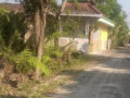 dijual-tanah-siap-bangun-kapas-bojonegoro-small-1
