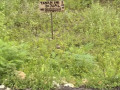 dijual-tanah-milik-sendiri-lokasi-mollo-semanding-small-0