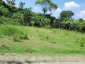 dijual-tanah-pekarangan-siap-bangun-small-0