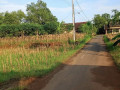 dijual-cepat-tanah-strategis-penambang-semanding-tuban-small-2