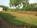 dijual-cepat-tanah-strategis-penambang-semanding-tuban-small-0