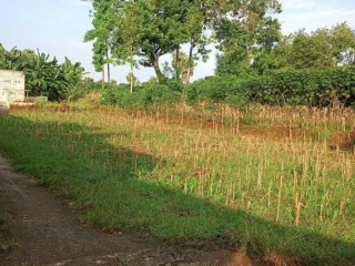DIJUAL CEPAT TANAH STRATEGIS PENAMBANG SEMANDING TUBAN