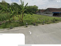 dijual-tanah-strategis-ngraho-bojonegoro-small-1