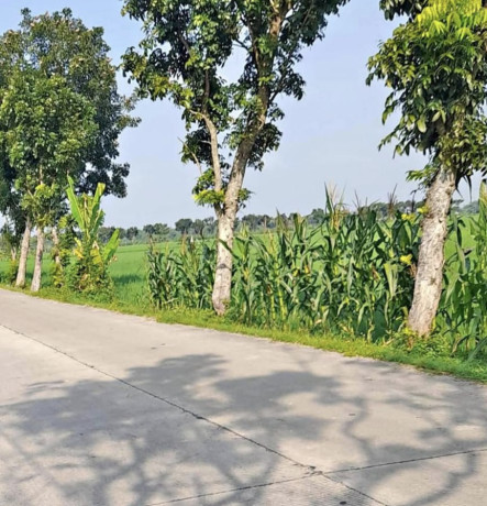 dijual-sawah-subur-di-sokowati-big-1
