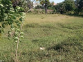 dijual-tanah-siap-usaha-lokasi-strategis-prungahan-kulon-tuban-small-1