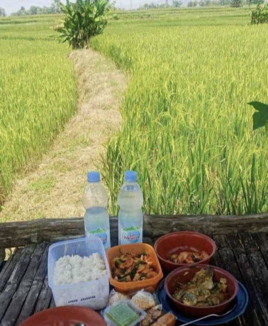 dijual-sawah-produktif-lokasi-strategis-plumpang-tuban-big-1
