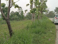 dijual-tanah-luas-siap-usaha-kerek-tuban-small-0