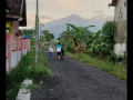 dijual-dikerjasamakan-tanah-strategis-di-pandaan-pasuruan-small-2