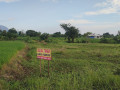 dijual-dikerjasamakan-tanah-strategis-di-pandaan-pasuruan-small-1