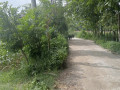 dijual-tanah-pekarangan-strategis-di-rengel-tuban-small-2