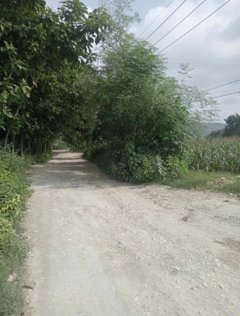 dijual-tanah-pekarangan-strategis-di-rengel-tuban-big-1