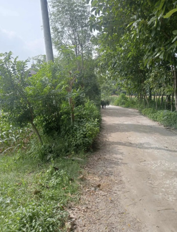 dijual-tanah-pekarangan-strategis-di-rengel-tuban-big-2