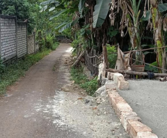 dijual-murah-tanah-strategis-semanding-tuban-big-2