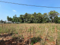 dijual-lahan-strategis-siap-kelola-tegalbang-tuban-small-2