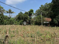 dijual-lahan-strategis-siap-kelola-tegalbang-tuban-small-1