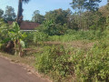 tanah-strategis-semanding-tuban-small-1