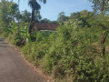 tanah-strategis-semanding-tuban-small-2