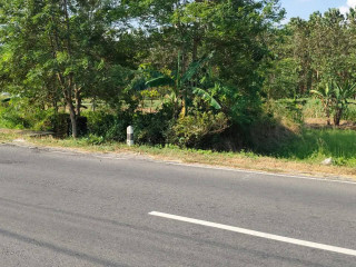 Dijual Tanah Strategis Pinggir Jalan Raya!