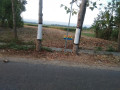 dijual-sawah-shm-lokasi-strategis-pinggir-jalan-small-0