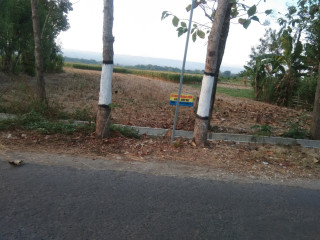 DIJUAL SAWAH SHM LOKASI STRATEGIS PINGGIR JALAN
