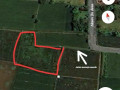 dijual-sawah-siap-tanam-jenu-tuban-small-3