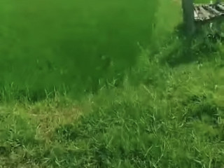 DIJUAL SAWAH SIAP TANAM JENU, TUBAN