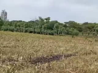Dijual Lahan Produktif di Merkawang, Tuban