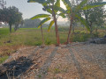 dijual-tanah-murah-hanya-10-meter-dari-jalan-raya-small-1