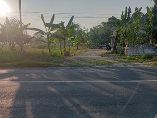Dijual Tanah Murah, Hanya 10 Meter dari Jalan Raya!