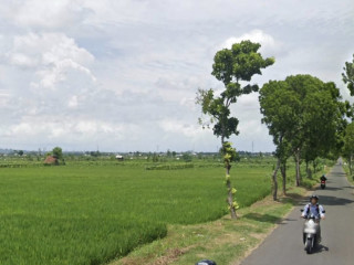 DIJUAL SAWAH TANPA PERANTARA TEGALREJO, MERAKURAK