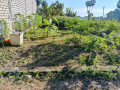 dijual-tanah-pekarangan-sugiharjo-small-0