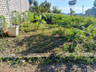 DIJUAL TANAH PEKARANGAN SUGIHARJO