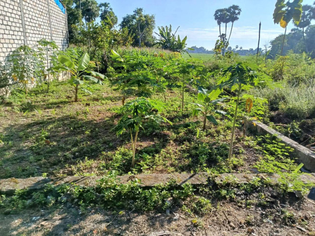 dijual-tanah-pekarangan-sugiharjo-big-1