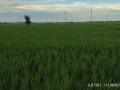 dijual-tanah-pertanian-produktif-small-0