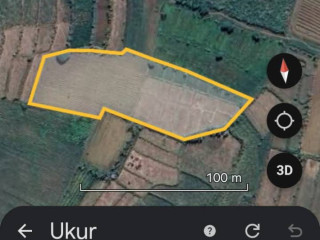 Dijual Tanah Tegalan Luas 4.137 m² di Trucuk