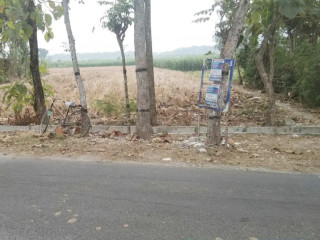 Dijual Tanah Luas 889 m² SHM Pinggir Jalan Desa Mentoro, Soko Tuban