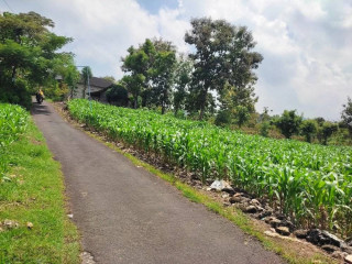 DIJUAL TANAH RENGEL, TUBAN