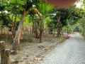 dijual-tanah-strategis-small-1