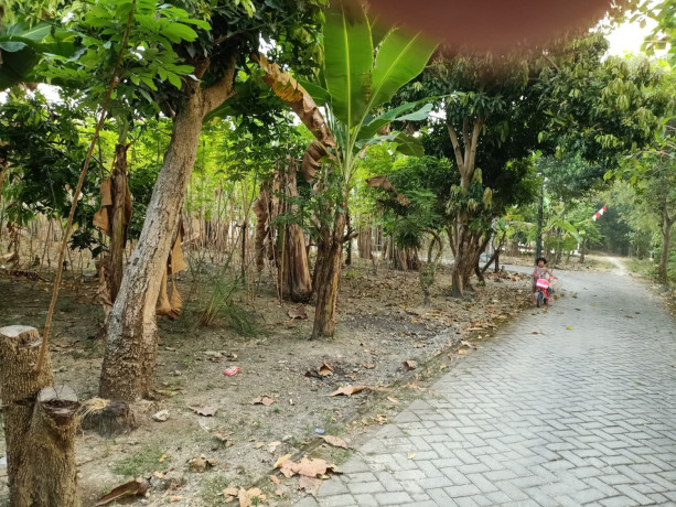 dijual-tanah-strategis-big-1