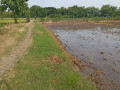 dijual-sawah-lokasi-bendo-kapas-small-0