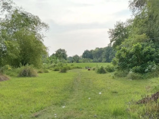 Dijual Tanah Murah 1850 m² Tuban