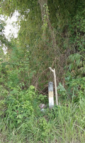 dijual-tanah-murah-1850-m2-tuban-big-1