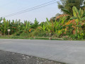 dijual-tanah-pekarangan-super-strategis-di-bojonegoro-small-1