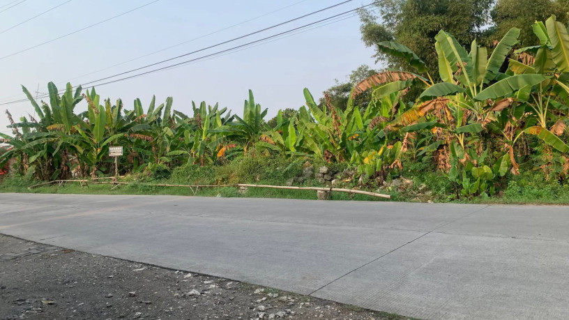 dijual-tanah-pekarangan-super-strategis-di-bojonegoro-big-1