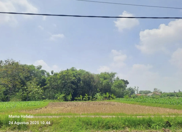 dijual-cepat-sawah-produktif-big-0