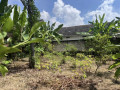 dijual-tanah-shm-tuban-small-2