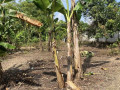 dijual-tanah-shm-tuban-small-1